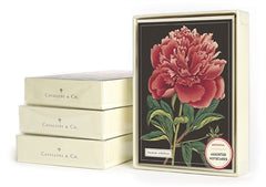 Botanica Boxed Note Cards