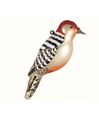 Red Bellied Woodpecker Ornament