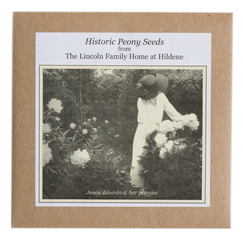 Historic Peony Seeds